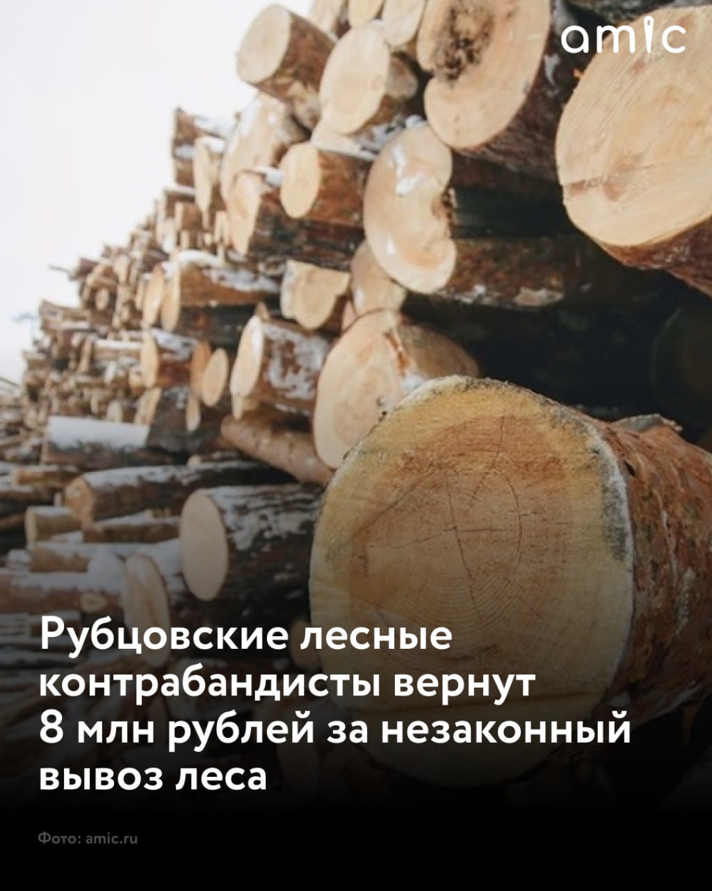 В Алтайском крае суд обязал контрабандистов выплатить 7,8 млн рублей за незаконный вывоз леса Четверо жителей Алтайского края незаконно провезли свыше 500 куб. метров лесоматериалов заграницу, сообщает Западно-Сибирская транспортная прокуратура. В результате чего государству причинен ущерб на сумму около 7,8 млн рублей. Исполнение судебного решения находится на контроле Рубцовской транспортной прокуратуры.