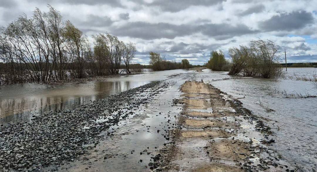 Паводковые воды начинают заливать пойму реки Ишим в Абатском районе в Тушнолобовском сельском поселении. Автомобильные дороги, соединяющие деревни Максимова - Земляная, Водолазово - Максимова подтоплены. В д. Максимова сегодня поправили временную грунтовую защитную насыпь, которая помогла в 2024 году. В д. Максимова уровень подъема воды стремительно приближается к отметке паводка 2017 года. Поэтому, не расслабляемся, готовимся к работам по укрытию временных защитных насыпей полиэтиленом и мешками с песком.