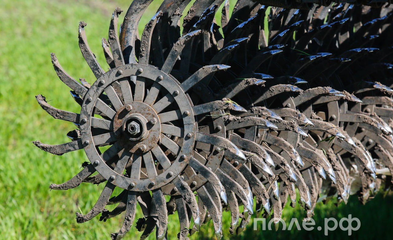 Аграрии застраховали 9 4 млн гектаров посевов в 69 регионах за январь сентябрь 2025 года По мультирисковой программе защиту получили 4 8 млн гектаров посевов в 63 регионах РФ по программе ЧС застраховано 4 6 млн гектаров в 59 регионах Крупнейшими регионами лидерами РФ по страхованию посевов за первые 3 квартала текущего года стали Омская область 979 тыс гектаров Алтайский край 720 тыс гектаров Республика Татарстан 584 тыс гектаров Подробнее pole journal