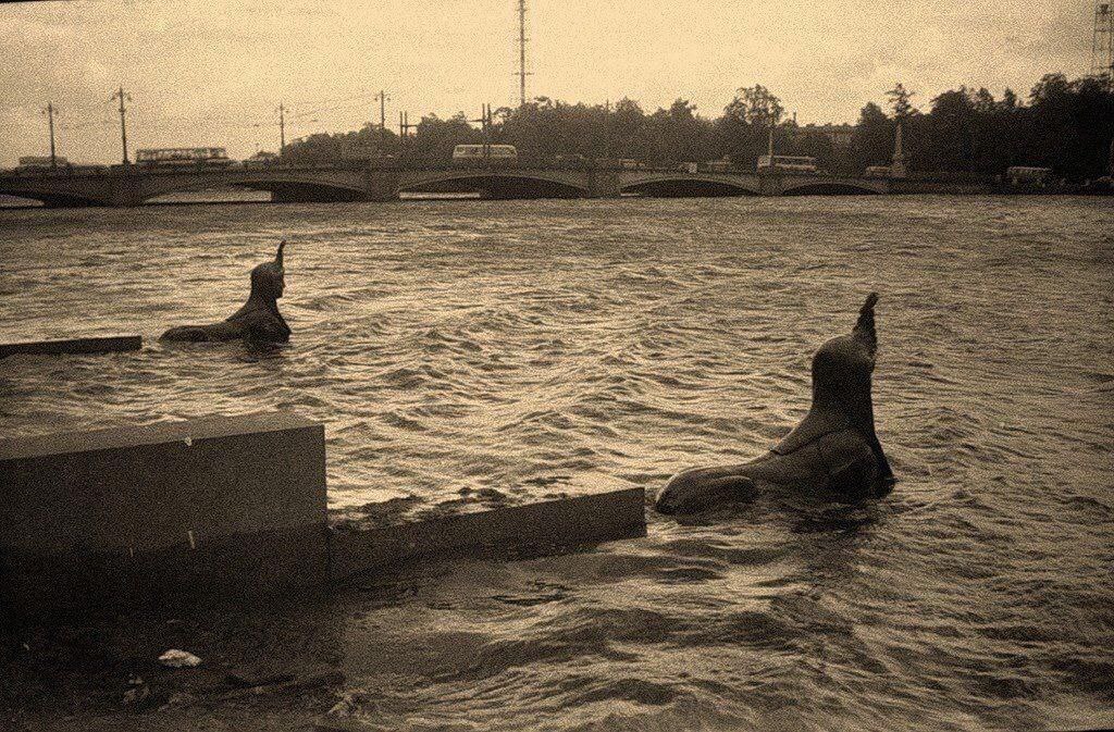 70 лет назад Ленинград накрыло большой водой 15 октября 1955 го Неву раздуло до 293 см город встал Васильевский и Дворцовая под водой транспорт в нокауте подвалы и первые этажи в воде Фото почти не осталось газеты отписались скупо но день помнят многие Это было четвертое по высоте наводнение за всю историю наблюдений и одна из причин почему у нас теперь есть дамба