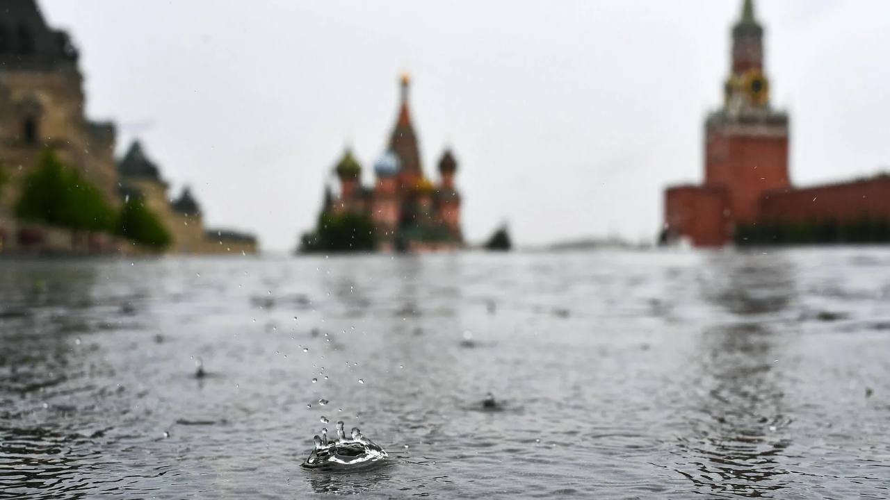 В Москве на следующей неделе могут выпасть 7 ведер воды на 1 м², по информации синоптиков.  Температура по ночам опустится до +7°C, а днем не превысит +20°C.
