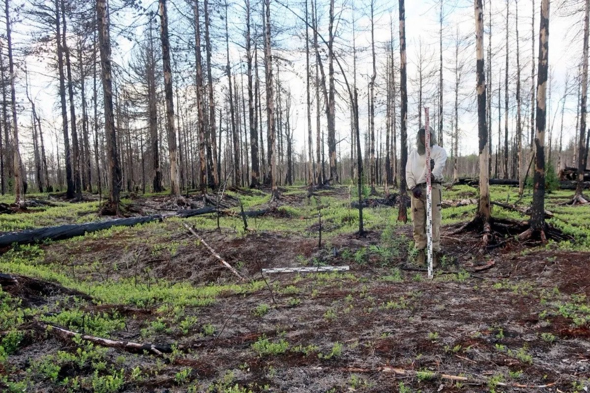 Найденный в Надымском районе памятник получил название Городище Неросавэй В Надымском районе на учет поставлен новый археологический памятник периода III века до н э II века н э Памятник стал шестисотым объектом культурного наследия включенным в единый государственный реестр