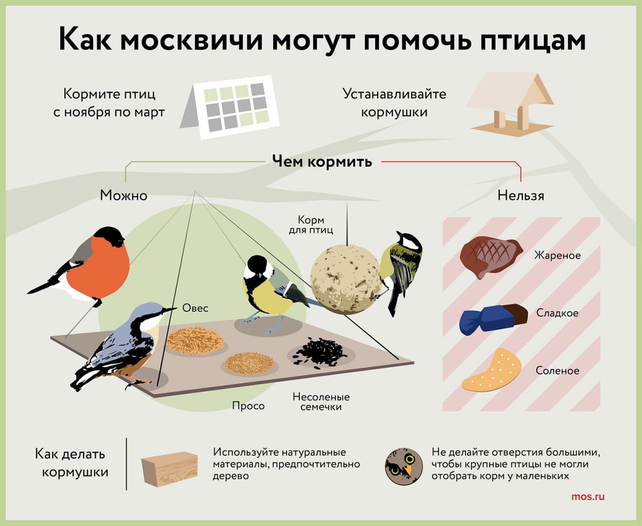 Московские биологи рассказали, что в столичных парках для животных наступили суровые времена – зима тяжелый сезон для зверей и птиц, которым приходится выживать и добывать пищу для потомства.   Учитывая это, специалисты предупредили, что горожанам следует бережно относиться к укрытиям животных – дуплам, хаткам и норкам.   В частности, бобры осенью заканчивают строительство своих хаток, утепляя их ветками и донным илом. Зимой звери стараются не покидать своих убежищ и питаются заготовленными запасами  Кроме того, специалисты привели рекомендации того, как горожане могут помочь птицам – например, кормушки советуют делать лишь из натуральных материалов.