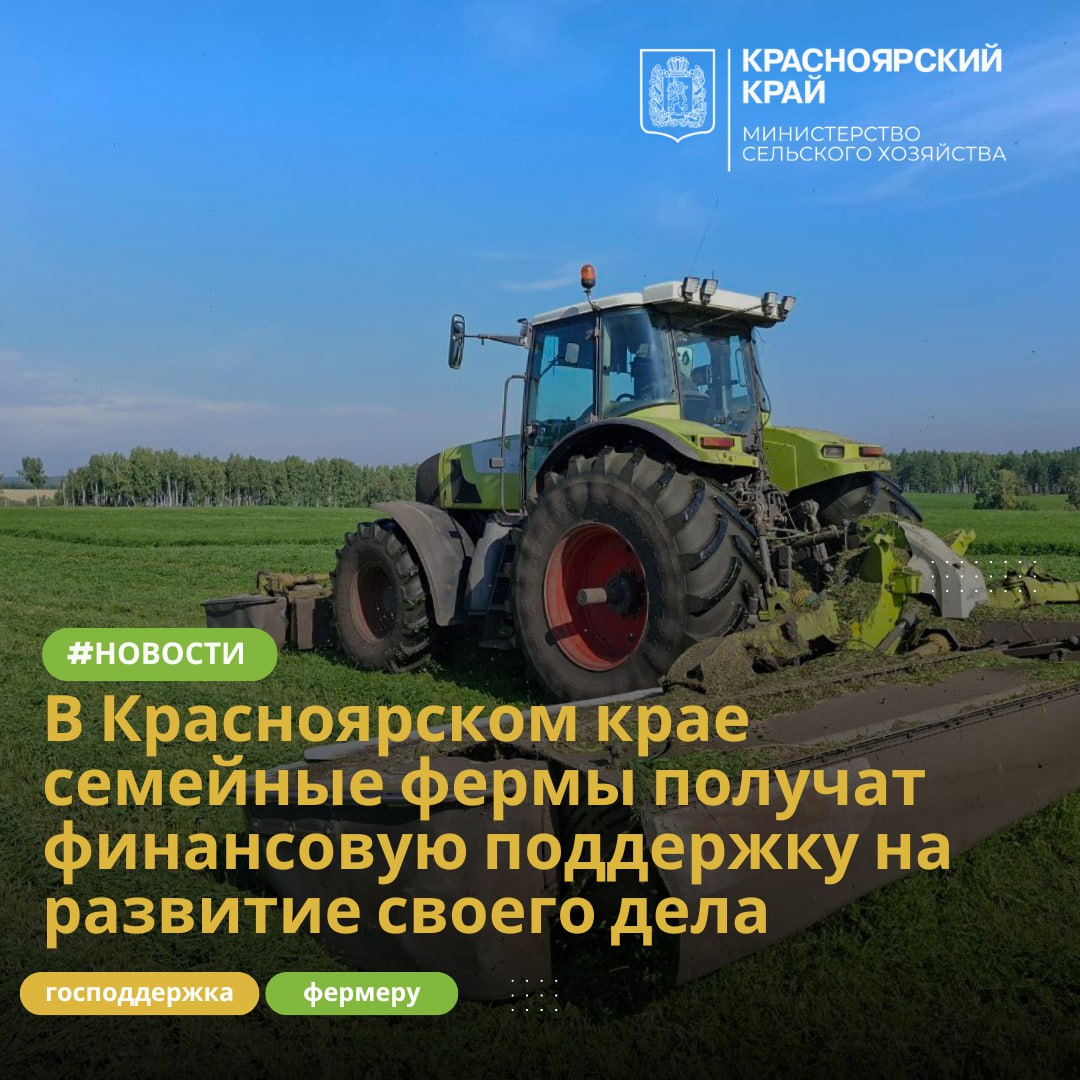 В Красноярском крае семейные фермы получат финансовую поддержку на развитие своего дела Семейным фермам компенсируют до 60 процентов затрат на приобретение оборудования сельхозтехники спецтранспорта а также сельскохозяйственных животных В Минсельхозе края подвели итоги отбора получателей субсидии на возмещение затрат семейных ферм Более 70 млн рублей получат 24 хозяйства из Балахтинско Новоселовского Шушенского Минусинского Курагинского Ачинского Идринско Краснотуранского Манско Уярского Емельяновского и Боготольского округов Глава крестьянско фермерского хозяйства Николай Хамуха из Минусинского округа с супругой занимаются растениеводством В округе это одно из самых крупных фермерских хозяйств Выращивают зерновые и зернобобовые пшеницу гречиху сою рапс и другие культуры Посевная площадь 6 тыс га В этом году фермер приобрел трактор и прицепное оборудование Часть затрат на эти цели ему компенсируют из федерального и краевого бюджетов Хозяйство развивается вкладываем свои средства и получая такую поддержку мы конечно идем на шаг впереди За три года увеличили посевные площади в 2 5 раза подняли урожайность приобрели технику Мы получаем господдержку также по другим направлениям стараемся участвовать во всех программах Наши вложения и усилия плюс поддержка государства все в совокупности дает хороший результат рассказывает Николай Хамуха По этому направлению субсидии получают хозяйства в которых задействовано не менее двух членов семьи включая главу КФХ и работающих на сельских территориях более года с даты регистрации Также в крае получают поддержку начинающие фермеры в этом году 15 человек получили гранты Агростартап Министр сельского хозяйства края Дмитрий Воропаев По количеству участников мы видим что Семейная ферма востребованное направление господдержки Если в прошлом году получателями субсидий были 11 хозяйств то в этом году количество желающих получить поддержку увеличилось более чем в два раза Крепкие фермерские хозяйства одна из основ экономики на селе свой вклад вносят малые предприятия и в обеспечение продовольственной безопасности Поэтому поддержка фермерства развитие и расширение небольших предприятий в приоритете