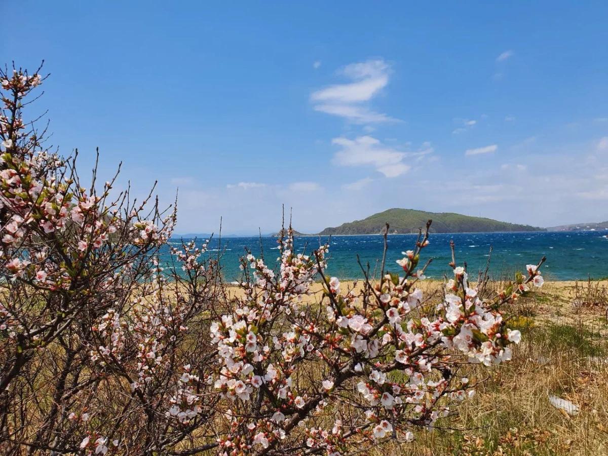 Шесть регионов Дальнего Востока вошли в топ субъектов России по росту спроса на тихий туризм Второе место уступив Калмыкии рост бронирований составил 41 заняла Камчатка с показателем прироста 35 Заметно прибавило Забайкалье здесь число бронирований увеличилось на 30 Далее идут Приамурье и Якутия на 27 и 10 соответственно Аналитики отмечают что туристов в этих регионах привлекает природа и культурная экзотика Еще два дальневосточных региона показали самый большой рост спроса на природный туризм сочетающийся с активным отдыхом Это Бурятия 17 и Приморский край 13 РБК Восток в Telegram и MAX