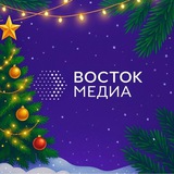 Аватар Телеграм канала: ВОСТОК-МЕДИА | Владивосток и ДФО