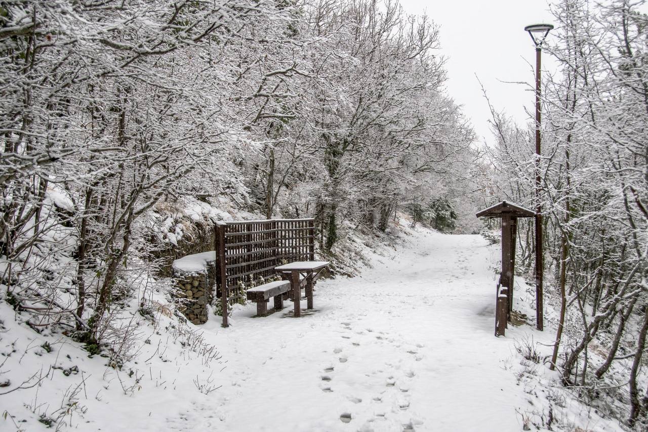 сводка происшествий НР Что произошло в Новороссийске за минувшие сутки 26 ДТП без погибших 2 пострадавших 3 вызова спасателей спасатели при помощи бензопилы Штиль произвели спил аварийного дерева спасатели при помощи альп снаряжения извлекли труп с высоты 15 ти метров и передали бригаде СМП зафиксировано 10 фактов нарушения правил парковки остановочный комплекс Смена Информация передана в ДЧ ДПС зафиксирован 1 факт попрошайничества по линии МВД зарегистрировано 294 обращения в дежурную часть novorab official Мы в МАХ