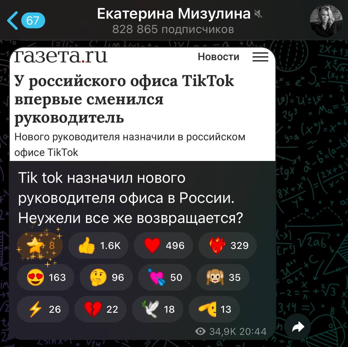 TikTok может ВЕРНУТЬСЯ в Россию — на это намекает Екатерина Мизулина.   У российского офиса внезапно сменился руководитель.  Зумеры уже ждут.