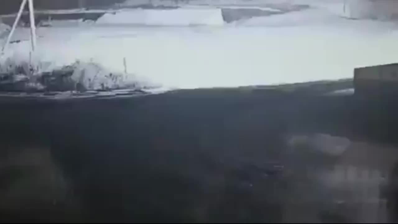 В Хабаровском крае возбуждено уголовное дело о незаконном обороте биоресурсов и хранении боеприпасов
