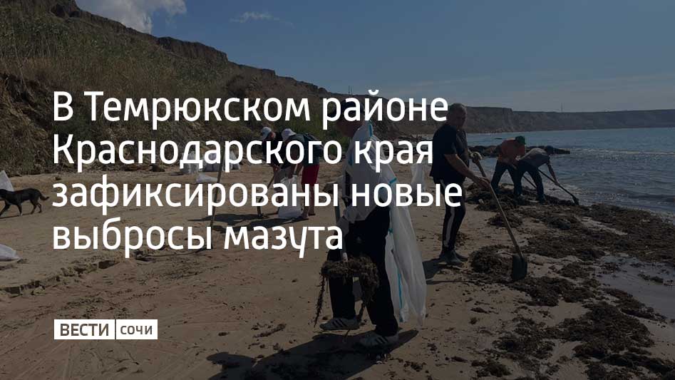 2 и 3 сентября новые фрагменты нефтепродуктов обнаружили на береговой линии протяженностью около трех километров Фракции мазута диаметром от трех до пяти сантиметров сейчас собирают на берегу от порта Тамань вдоль побережья поселка Волна до мыса Железный Рог За два дня очистили около километра побережья собрали 290 мешков загрязненного нефтепродуктами грунта сообщили в оперштабе Краснодарского края Происхождение новых выбросов устанавливается