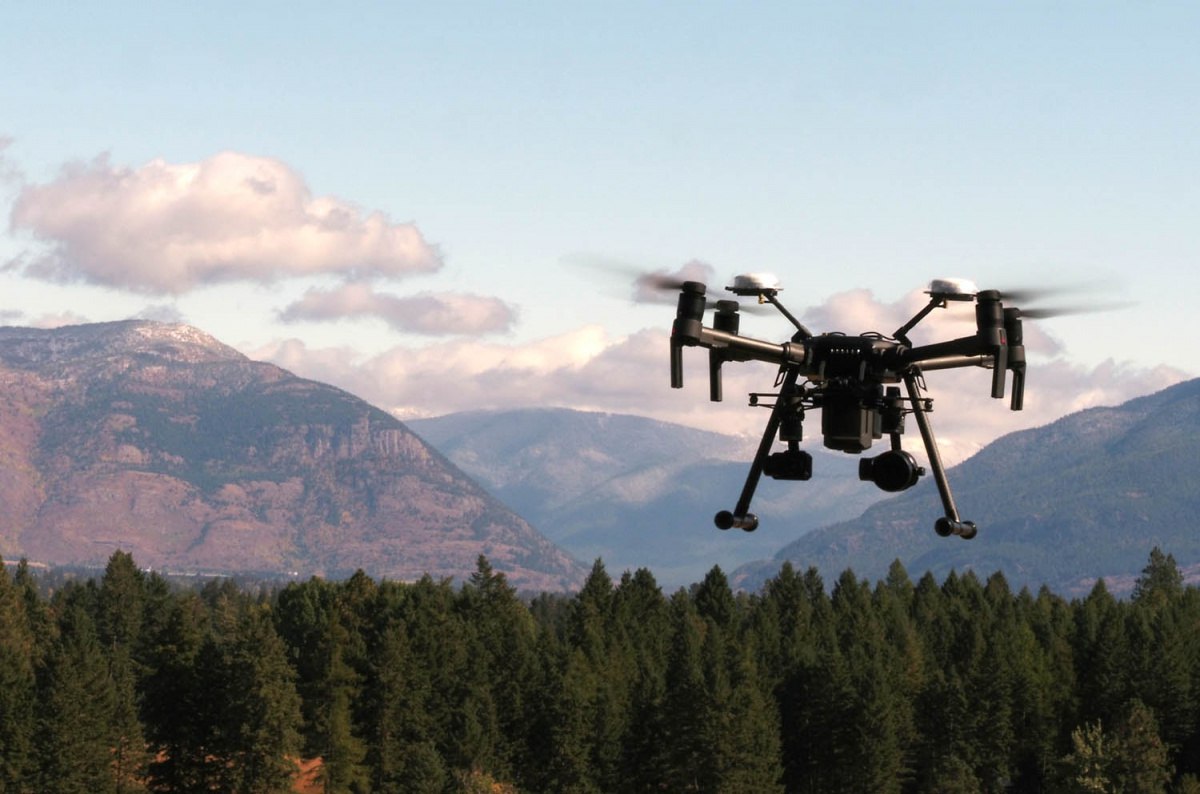 Перезагрузка лесного хозяйства продолжится в Республике Алтай На следующий год практически вдвое вырастет финансирование отрасли Эти средства пойдут на лесовосстановление борьбу с шелкопрядом закупку техники и ремонт помещений подведов Минприроды Эту информацию озвучили на заседании правительства во время утверждения регионального бюджета 2026 для представления его в местный парламент ко 2 чтению