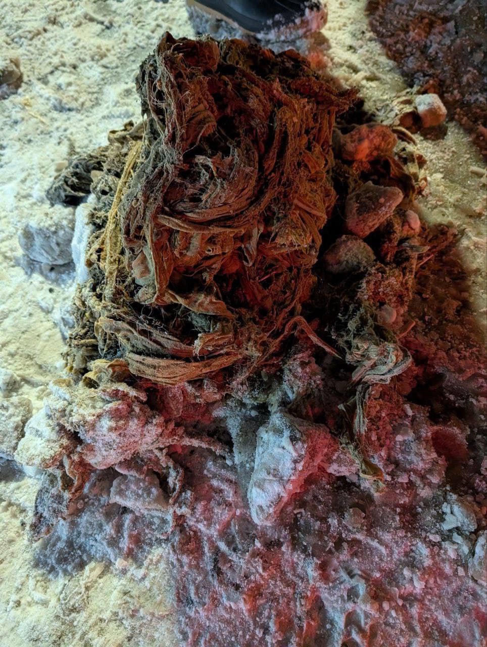 Смываешь недоеденные салатики в унитаз Смотри что может случиться с твоей канализацией Это Водоканал ликвидировал мощный засор на Арцеуловской аллее из за которого затопило подвал и паркинг дома 15 Да в основе пробки ткани но все же ничего кроме растворимой туалетной бумаге смывать нельзя t me VDKSPB Читай нас в MAX Читай нас в Telegram