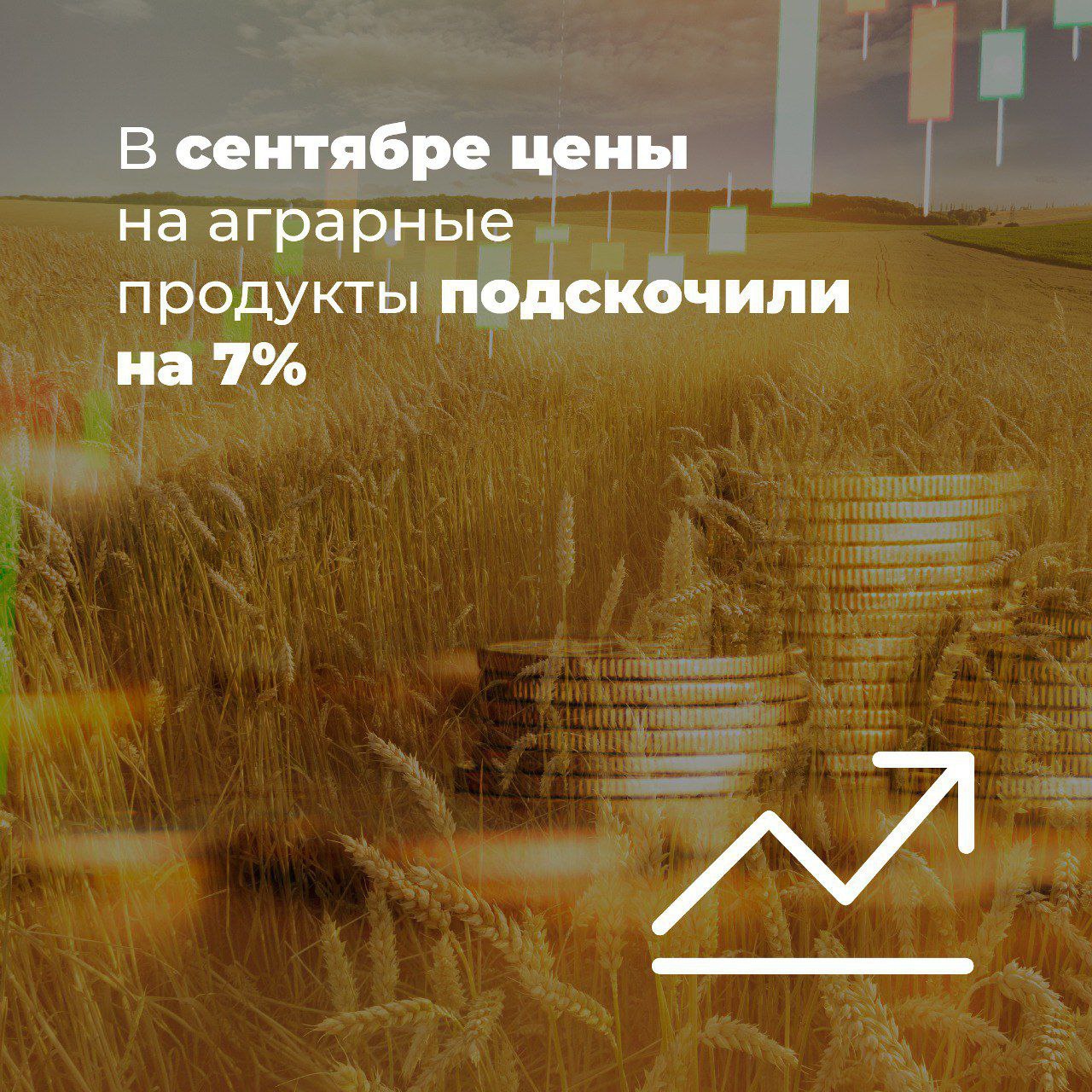 В сентябре цены на аграрные продукты подскочили на 7%  В сентябре Bloomberg Agriculture Spot Index, отражающий динамику цен на 9 основных категорий сельскохозяйственных товаров, вырос на 7%, что является самым высоким месячным приростом за последние 2 года. Повышение цен обусловлено аномальными климатическими условиями, такими как засухи, ливни и пожары, что усиливает обеспокоенность по поводу глобального предложения базовых продуктов питания. Это знаменует поворот в динамике цен по сравнению с началом этого года, когда они оставались под контролем благодаря хорошему предложению и слабому спросу на некоторых ключевых рынках, таких как Китай. И хотя до ценового пика, достигнутого в 2022 года, еще далеко, рост биржевых котировок может продолжиться и оказать влияние на цены в супермаркетах, обращает внимание Деннис Вознесенски, заместитель директора по устойчивой экономике и сельскому хозяйству Commonwealth Bank of Australia.   Bloomberg  #агроэкспорт #новостиАПК