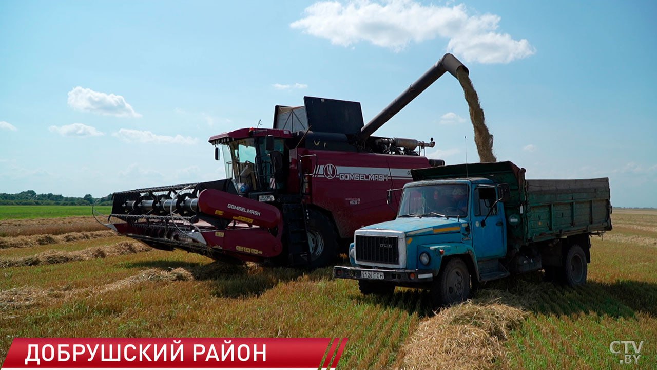 Сельхозпредприятия Гомельской области приступили к уборке зерновых Убрано 20,5 тысячи га озимого ячменя. Это более 8 % площадей. Намолочено 96,4 тысячи тонн с урожайностью 47,1 ц/га. В страду включаются все больше районов.