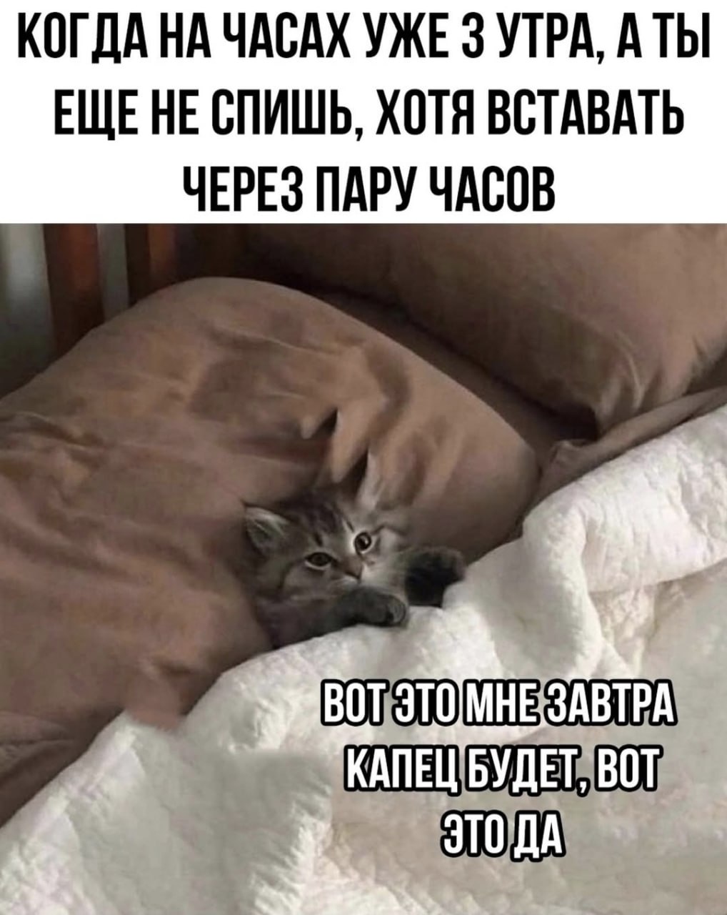 Плохой сон ускоряет старение мозга и сокращает жизнь Сбитый режим связан с ухудшением когнитивных функций и повышенным риском ранней деменции показало исследование Кроме того хронические проблемы со сном в среднем отбирают почти 3 года жизни Наиболее выраженные негативные эффекты обнаружили у мужчин Ты знаешь кому переслать Большой воронежский Подписаться И на всякий в Maх