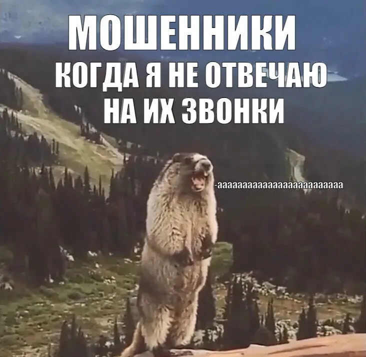 Мошенники обманывают пенсионеров обещая персональные надбавки к пенсии Схема является актуальной для апреля так как в этом месяце происходит индексация пенсий Так аферисты звонят пенсионерам представляясь сотрудниками Социального фонда России СФР и сообщают о дополнительном перерасчете или персональной надбавке При этом для получения выплаты мошенники просят назвать данные карты или установить приложение фонда которое является вирусом  Специалисты предупреждают что индексация проводится автоматически и не требует заявлений или звонков А сотрудники Социального фонда никогда не запрашивают данные карт и коды из смс по телефону Подписаться на truekpru Читать нас в MAX