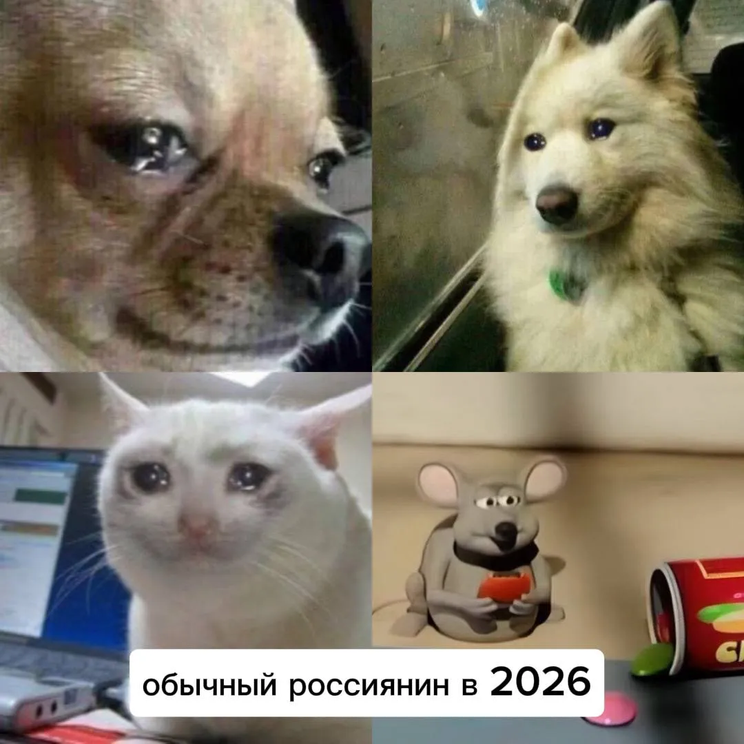 ВЦИОМ сообщил о снижении индекса счастья россиян до 52 пунктов по итогам апреля это минимум почти за 15 лет По сравнению с мартом показатель упал на 4 пункта Снижение продолжается с декабря когда индекс составлял 66 пунктов Ниже он был только в сентябре 2011 года 41 пункт Индекс определяется на основе ответов респондентов на вопрос В жизни бывает всякое и хорошее и плохое Но если говорить в целом Вы счастливы или нет А как бы вы ответили на этот вопрос Telegram Все каналы Фонтанки Max