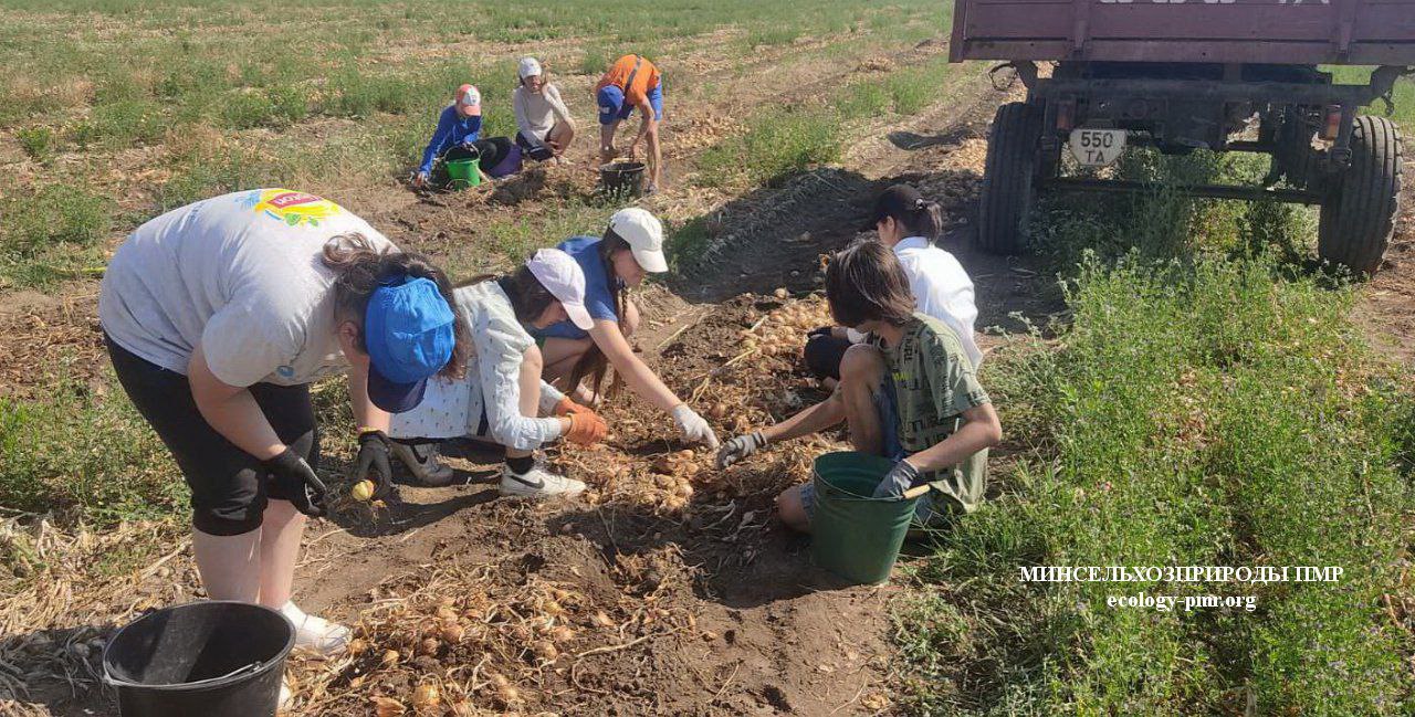 В Приднестровье проходит IV Республиканский фестиваль «В мире профессий» Мероприятие помогает молодёжи определиться с будущей профессией. Дубоссарский индустриальный техникум в четвёртый раз активно участвует в фестивале, проводя мастер-классы, экскурсии и встречи с профессионалами. Фестиваль даёт школьникам шанс сделать первый шаг к осознанному выбору профессии.