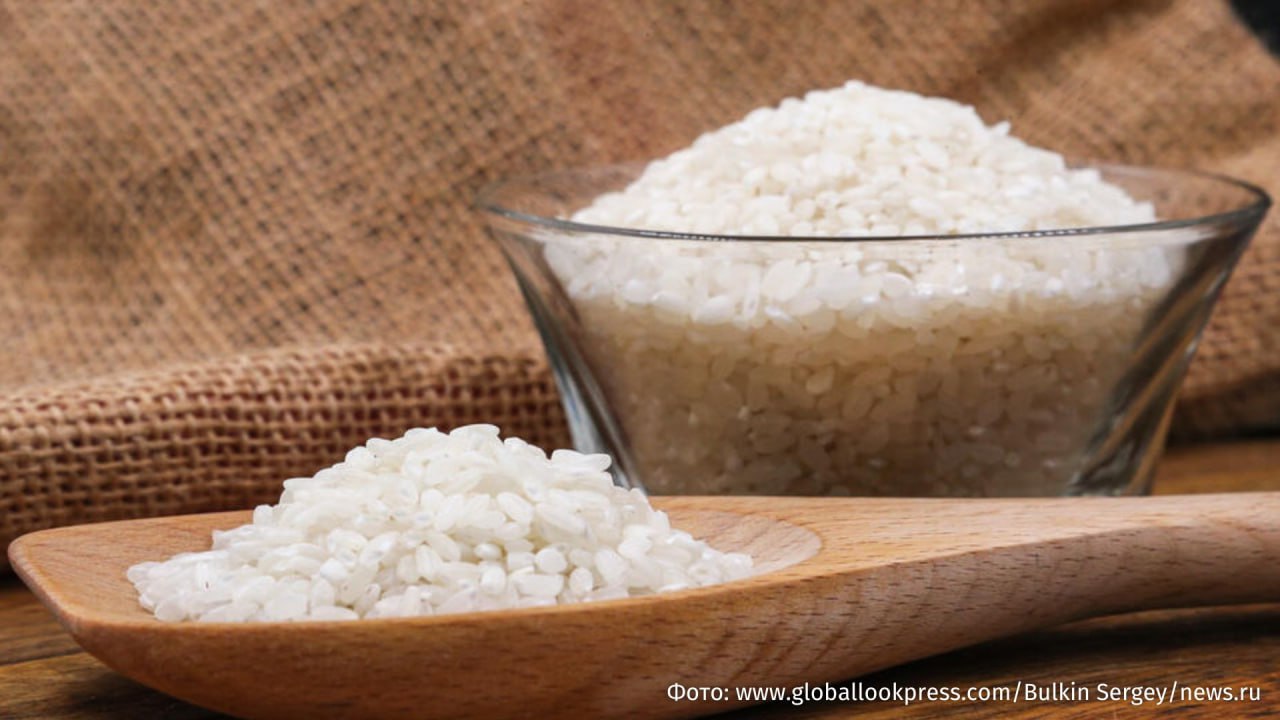 Риса хватит всем в КНР создали первый в мире гибридный сорт риса способный удвоить мировое производство пишет South China Morning Post Новый вид способен к самовоспроизведению с помощью клонированных семян точно сохраняя высокоурожайные характеристики из поколения в поколение Ученые утверждают что их открытие может преобразовать мировое сельское хозяйство устранив главное препятствие на пути к производству гибридного риса необходимость для фермеров каждый сезон покупать дорогие новые семена В условиях острой нехватки продовольствия сотни миллионов людей по всему миру гибридный рис обещает значительно более высокие урожаи почти в четыре раза больше в некоторых регионах Африки по сравнению с традиционными сортами IZ RU в Telegram в MAX