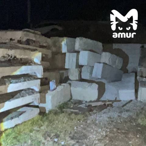 Бетонные блоки насмерть придавили малыша во Владивостоке Трагедия случилась когда двухлетний мальчик гулял во дворе дома в Советском районе Следком возбудил уголовное дело Подпишись на ПРИМОРЬЕ LIVE