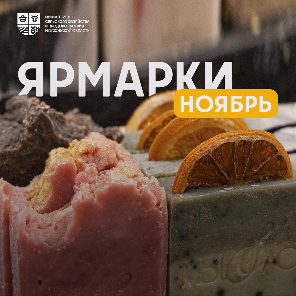 2 0 ярмарок ждут жителей городского округа Щёлково в ноябре В этом месяце на торговых площадках будет представлен широкий ассортимент продуктов от производителей из разных уголков не только области но и России Вы сможете приобрести мёд сыры хлебобулочные изделия молочные и мясные продукты а также уникальные изделия ручной работы Список ярмарок и их режим работы по ссылке ярмаркищёлково