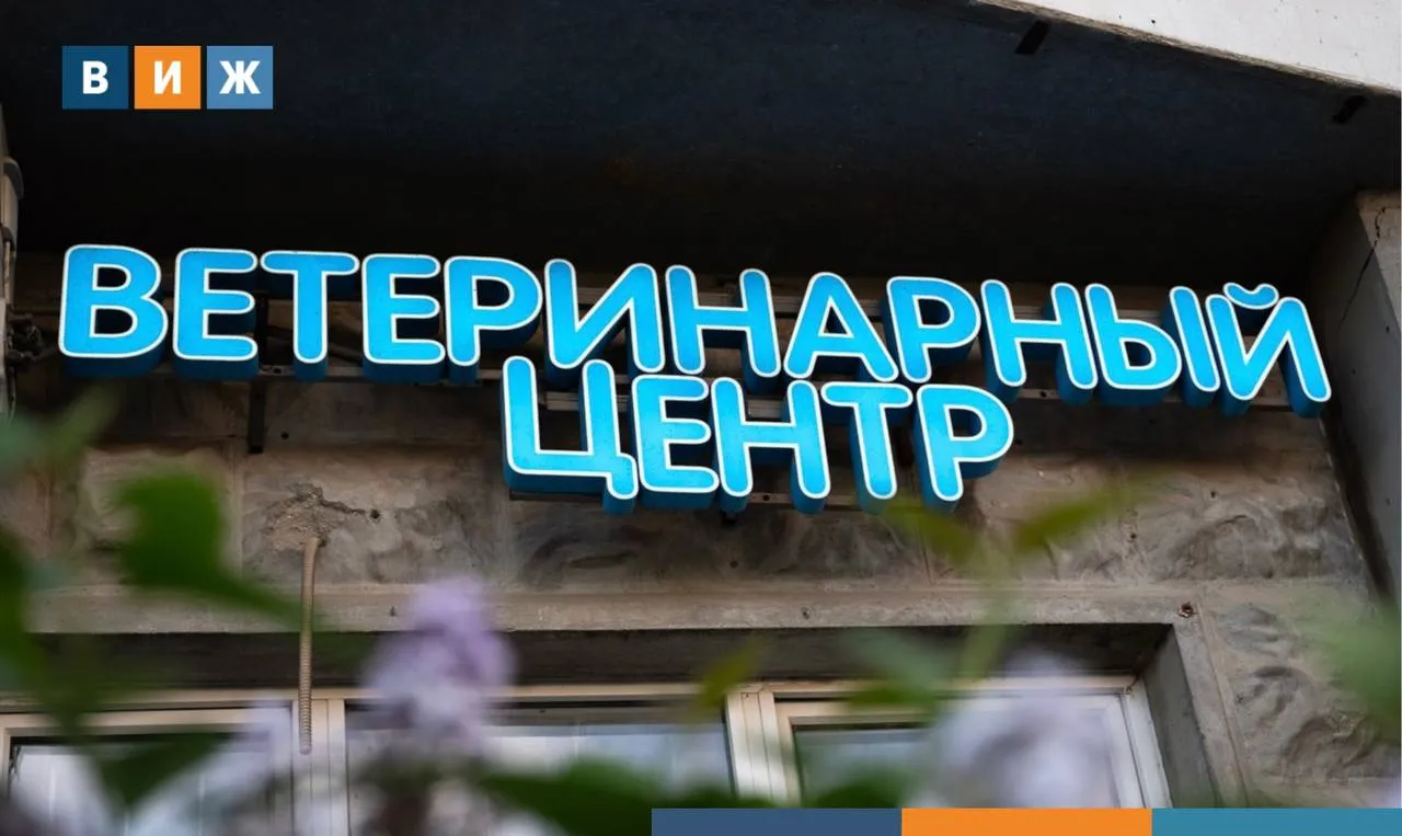 Ветеринарных клиник в России за год стало меньше на 6 В российских городах миллионниках на апрель этого года их насчитывалось около 2 4 тыс подсчитал геосервис 2ГИС Такой тренд связан со стагнацией спроса на ветуслуги передают Известия Основные цифры по итогам первого квартала количество покупок в ветеринарии снизилось на 1 год к году показывают данные Чек индекса средний чек в ветеринарных клиниках увеличился на 15 до 3913 рублей средняя стоимость приема ветеринара выросла на 34 год к году до 857 рублей с начала года рост составил 5 стоимость однократной вакцинации за год увеличилась на треть с начала года на 3 до 2022 рублей Как сообщала Ветеринария и жизнь в 2025 году владельцы домашних животных потратили на ветуслуги 59 9 млрд рублей что стало абсолютным историческим максимумом Значительная часть увеличения затрат связана с удорожанием расходных материалов и лекарств Особенно заметно это отразилось на хирургических операциях и вакцинации животных Подробнее о том как изменились расходы владельцев на содержание домашних животных читайте в материале ВиЖ Подписывайтесь на ВиЖ в Мах