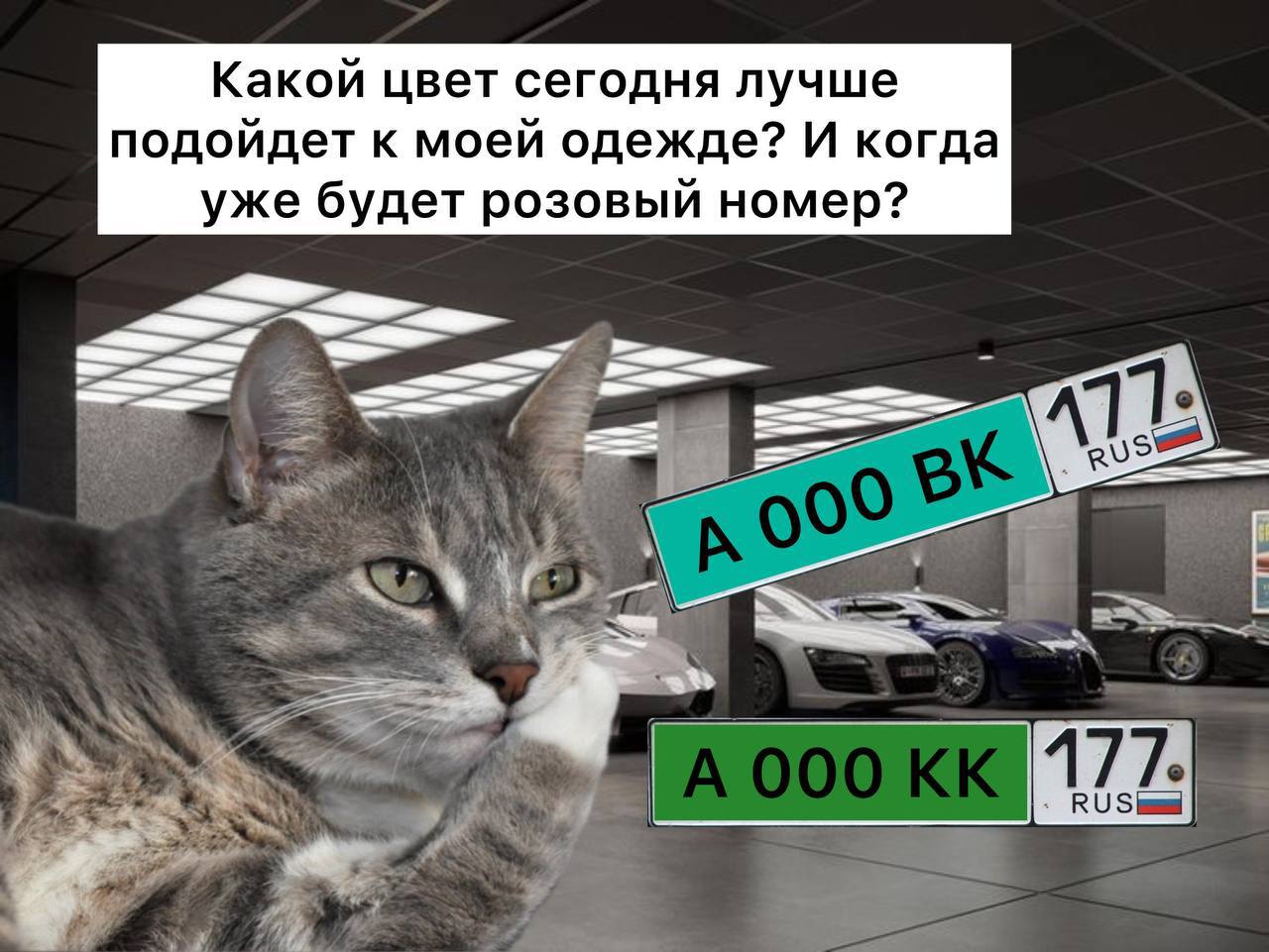 В России хотят расширить палитру цветных автомобильных номеров и добавить зеленый и бирюзовый Так предлагается электрическим автомобилям давать зеленые номера а беспилотным авто на дорогах бирюзовые В национальном автомобильном союзе считают что такая цветная градация упростит работу ГИБДД а также повлияет на уровень безопасности на дорогах piter life