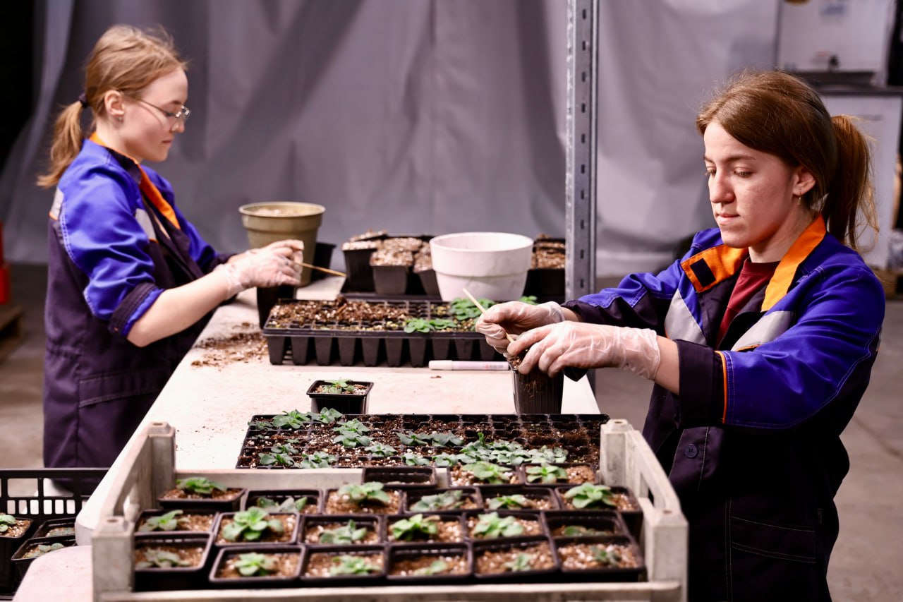 Содержанием городской свалки в Челябинске займется компания из Владимира В Челябинске нашли подрядчика который займется содержанием рекультивируемой городской свалки в Металлургическом районе Победителем аукциона стала фирма Баромембранная технология Сервис из Владимира С ней уже заключили контракт на 110 86 миллиона рублей Всего на аукцион поступило две заявки однако одну из них отклонили из за несоответствия требованиям закупки Компания БМТ Сервис предложила за работы 8 96 миллиона рублей Так как фирма стала единственным участником тендера то с ней заключили контракт по начальной цене ООО БМТ Сервис на рынке с 2019 года Основной вид деятельности компании производство оборудования и установок для фильтрования или очистки жидкостей За время работы она выиграла 63 аукциона Ранее фирма уже занималась содержанием бывшей городской свалки в Челябинске В 2024 году с ней заключали контракт на 300 миллионов рублей в 2023 м на 150 миллионов в 2022 м почти на 200 миллионов