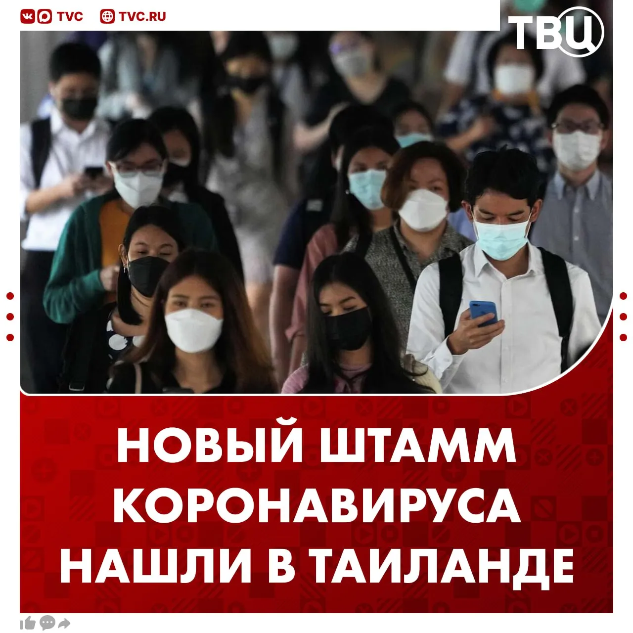 Новый штамм коронавируса обнаружен у летучих мышей в Таиланде Случаев заражения людей пока нет но в Краби и Пханг Нга снова носят маски и перчатки По словам экспертов этот штамм вируса не такой заразный как COVID 19 Кроме этого вакцины против коронавируса остаются эффективными поэтому риск новой пандемии небольшой Не грузятся фото и видео Читайте ТВЦ в МАКС Верим в то что нового карантина не будет Да Нет