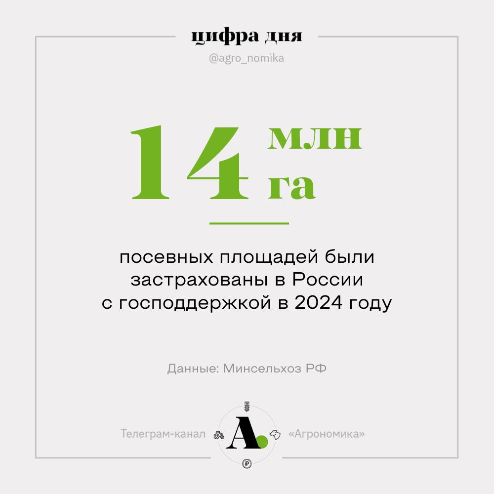 В 2024 году в России была застрахована с господдержкой рекордная площадь сельхозземель – 14 млн га, сообщили в минсельхозе. Это 17,9% от всех посевов в стране. В 2025 году власти планируют увеличить этот показатель до 20%.  Ожидаемо повысился интерес аграриев к страхованию на случай ЧС природного характера. Если в 2022 году от этого риска было застраховано 2,2 млн га, то в 2024 году площадь выросла до 6,2 млн га.  В животноводстве в 2024 году было застраховано с господдержкой 11,5 млн условных голов – 38% от всего поголовья в стране. План на 2025 год: довести цифру до 50%.   Общая сумма выплат по договорам страхования с господдержкой в 2024 году составила 5,4 млрд рублей, что более чем в два раза выше, чем годом ранее.  Охват продвигаемой минсельхозом программы агрострахования с господдержкой ежегодно растет, и недоверие аграриев к этому инструменту пусть медленно, но снижается. А погодные сюрпризы этому активно способствуют.