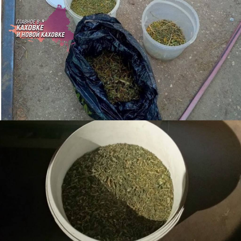Полицейские изъяли партию марихуаны у жителя Новокаховского округа Сотрудники полиции провели обыск в хозпостройке на территории домовладения подозреваемого, где нашли полкилограмма марихуаны. Мужчина заявил, что собрал дикорастущую коноплю для личного употребления. При задержании у гражданина были замечены признаки наркотического опьянения. В отношении него возбуждено уголовное дело, как сообщает ГУ МВД России по Херсонской области.