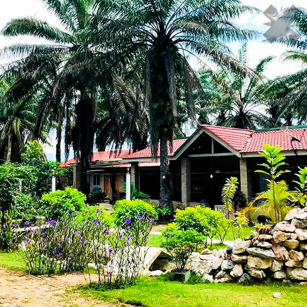 В Малайзии открыли первый в мире дом престарелых для зумеров Проект призван быть местом для настоящего чилла За 430 вы получите проживание еду 3 раза в день и возможность часами смотреть на уточек и природу Причём любые тренинги цели на день и другие дела в пансионате запрещены Главная задача делать абсолютно ничего если захотел туда НМШ