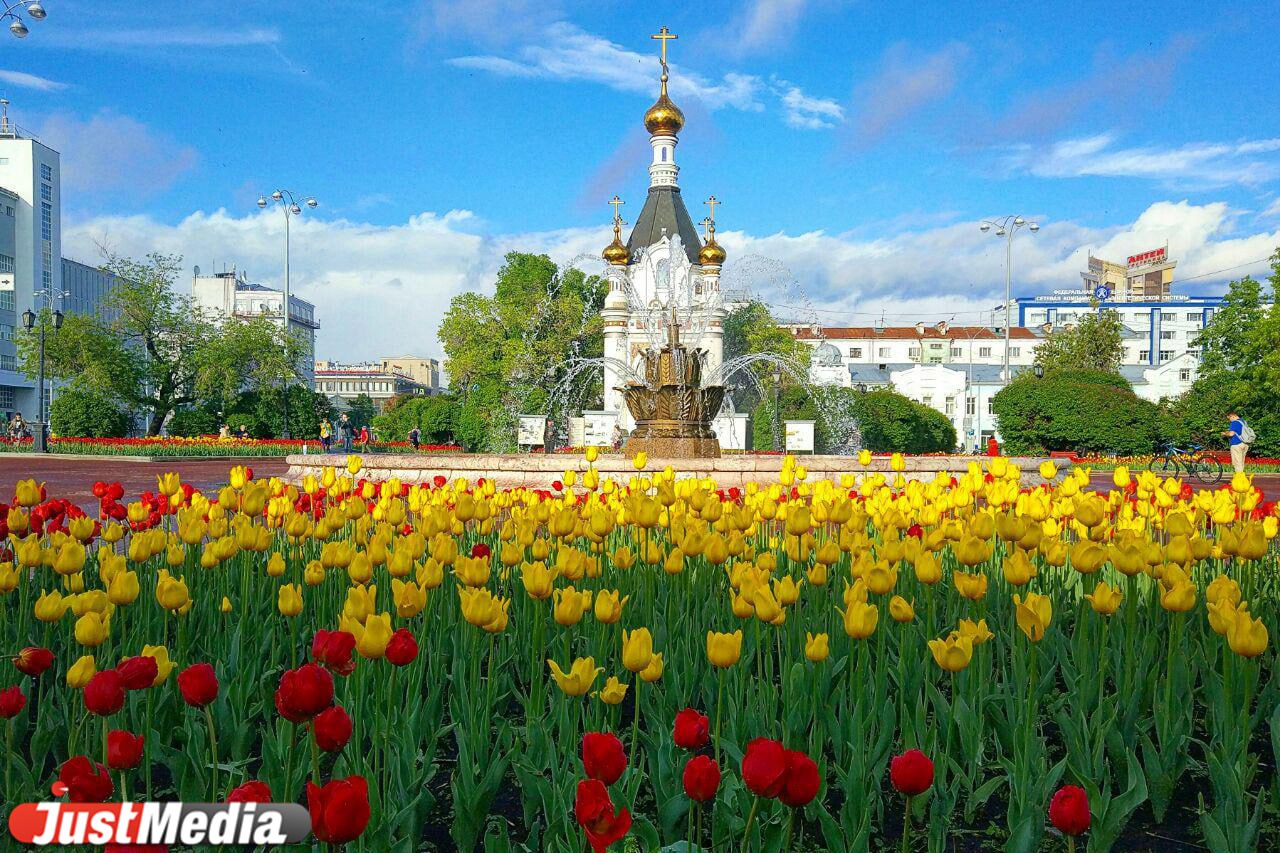 К лету Екатеринбурге высадят более пяти гектаров цветников. Первыми были высажены тюльпаны в центральных городских локациях: на Октябрьской площади, площади Труда, в Историческом сквере, а также на пересечении Луначарского и проспекта Ленина, Куйбышева и Розы Люксембург, проспекта Ленина и улицы Московской. После того как тюльпаны отцветут, на этих же участках будут высажены другие растения: агератум голубой, алиссум, разноцветные бегонии, гвоздика китайская, пеларгония, герань плющелистная и другие. Этим летом специалистам также предстоит благоустроить несколько больших территорий. Одна из них – Преображенский парк. Там планируется посеять и выровнять газоны. А в восточной стороне парка «Уралмаш» будут обустроены спортивные площадки и зоны для спокойного отдыха горожан, установлено освещение и проложены дорожки. Начнутся работы и в сквере Бориса Рыжего. В Дендрологическом парке на Первомайской восстановят и очистят водоемы, поставят новые фонари.