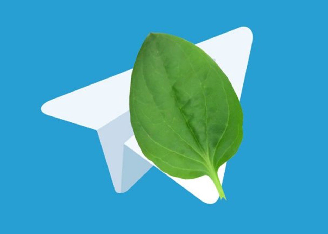 В Telegram наблюдается сбой Пользователи жалуются что перестали отправляться сообщения не грузятся медиа и отключаются комментарии постам Подписаться на truekpru Читать нас в MAX