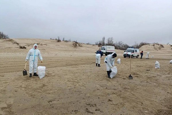 98 мешков мазута собрали в Анапе после шторма Его подняли со дна прибрежной зоны сообщили в оперативном штабе Краснодарского края Выбросы мазута обнаружили во время мониторинга береговой полосы на трёх участках от центрального пляжа Анапы до пляжа Тортуга в селе Витязево Уборку организовали также в посёлке Веселовка Темрюкского района Подписаться на Говорит Москва Telegram VK MAX