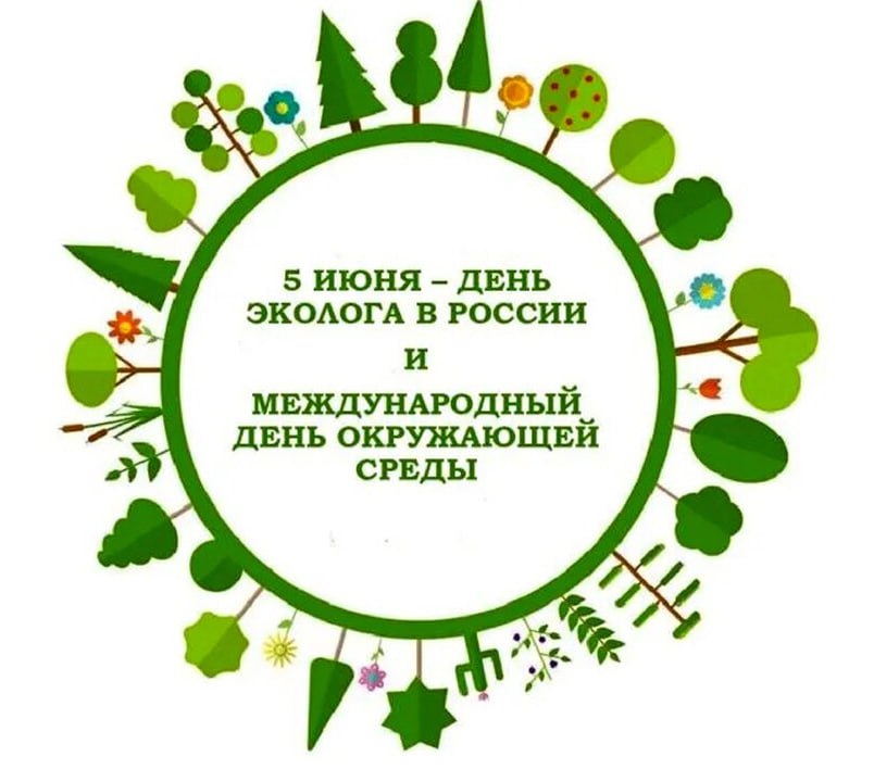 5 июня в России отмечается День эколога, профессиональный праздник, установленный Указом Президента РФ от 21 июля 2007 года.   Для защиты окружающей среды в стране реализуются масштабные проекты. В 2024 году завершился нацпроект «Экология», в рамках которого были очищены сотни километров рек, улучшено качество воздуха и созданы новые заповедные территории. В этом году запущен новый нацпроект «Экологическое благополучие», в него входит шесть направлений работы. В прошлом году рамках акции «Сохраним лес» высажено более 70 миллионов деревьев.   Михаил Мишустин поздравил российских экологов с их днем и отметил:  «От комплексного подхода к решению этих важнейших государственных задач напрямую зависит будущее страны, благосостояние наших граждан».
