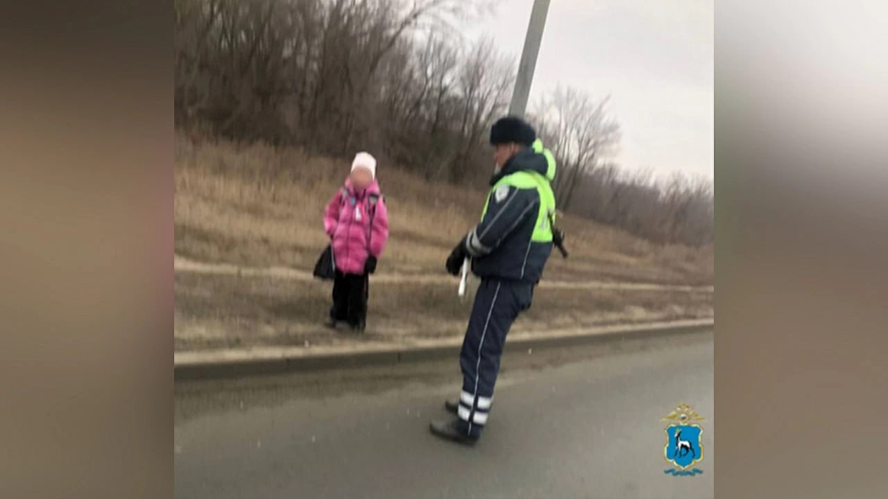 В Самарской области сотрудники Госавтоинспекции помогли первокласснице добраться домой в зимний холод Если вы попали в трудную ситуацию на дороге, можно обратиться за помощью в областную Госавтоинспекцию по телефону 8 846  333-58-01, 102. Во время несения службы сотрудники Госавтоинспекции Волжского района заметили девочку, которая медленно передвигалась по краю проезжей части вдоль дороги в микрорайоне Кошелев Парк городского поселения Смышляевка.