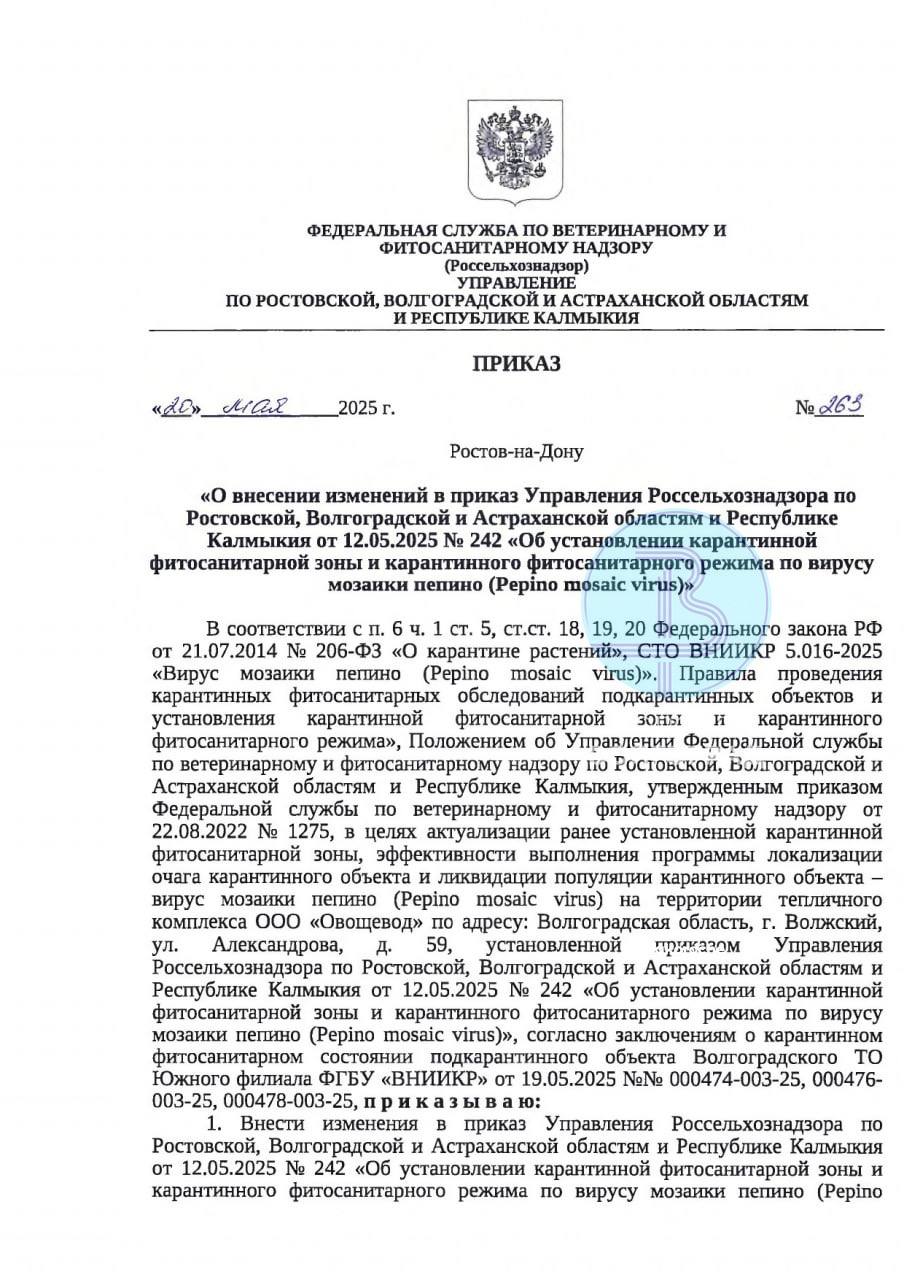 Тепличный комплекс волжской «Ботаники» закрыли на карантин. Здесь нашли очаги опасного вируса мозаики пепино. На территориях тепличного комплекса общей площадью 101 га установили карантинную фитосанитарную зону. По данным Россельхознадзора, вирус опасен не только для томатов, но и для баклажанов, картофеля, перца и табака. Когда откроют теплицы — не сообщается. Короче, пока светить не будет. Подписаться на «Короче, Волгоград»