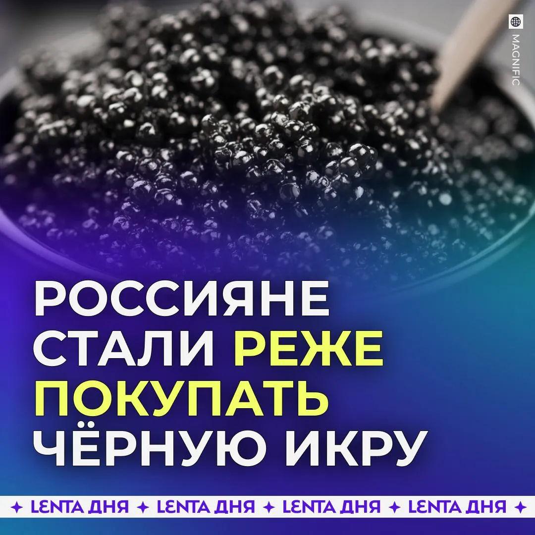 Россияне стали отказываться от чёрной икры Продажи деликатеса за первые четыре месяца 2026 года сократились на 22 в сравнении с прошлым годом Средний чек за банку чёрной икры в России достиг 7 5 тысячи рублей Падение спроса объясняется тем что потребители сокращают частоту покупок или выбирают более бюджетные варианты Подпишись на Ленту дня в МАКС
