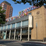 Аватар Телеграм канала: Хроники ИМО