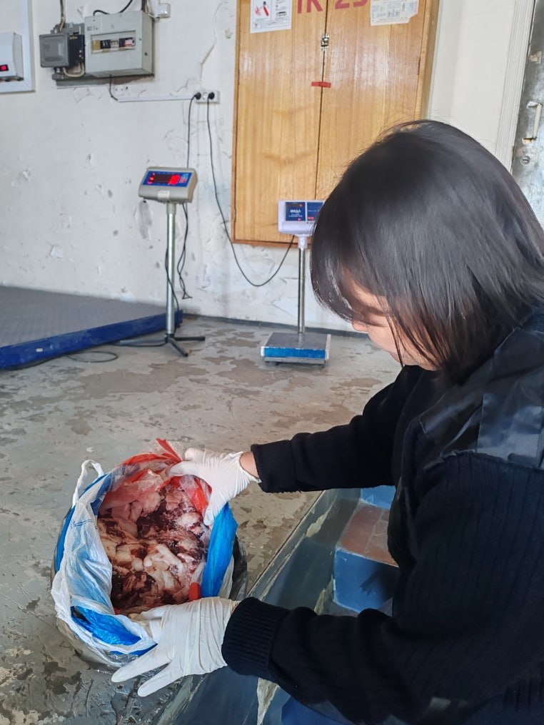 Гражданин Монголии 15 февраля пытался незаконно ввезти в Россию шесть килограммов баранины Его остановили на таможенном посте МАПП Кяхта Об этом сообщает пресс служба Россельхознадзора по Иркутской области и Бурятии Запрещен ввоз в Россию продукции животноводства с территории Монголии которая сохраняет неблагополучную эпизоотическую ситуацию Существует риск заноса и распространения опасных болезней характерных для животных и человека а также причинения значительного ущерба сельскому хозяйству страны пояснили в ведомстве На гражданина Монголии завели административное дело Баранину отправили обратно в Монголию бурятия bur24