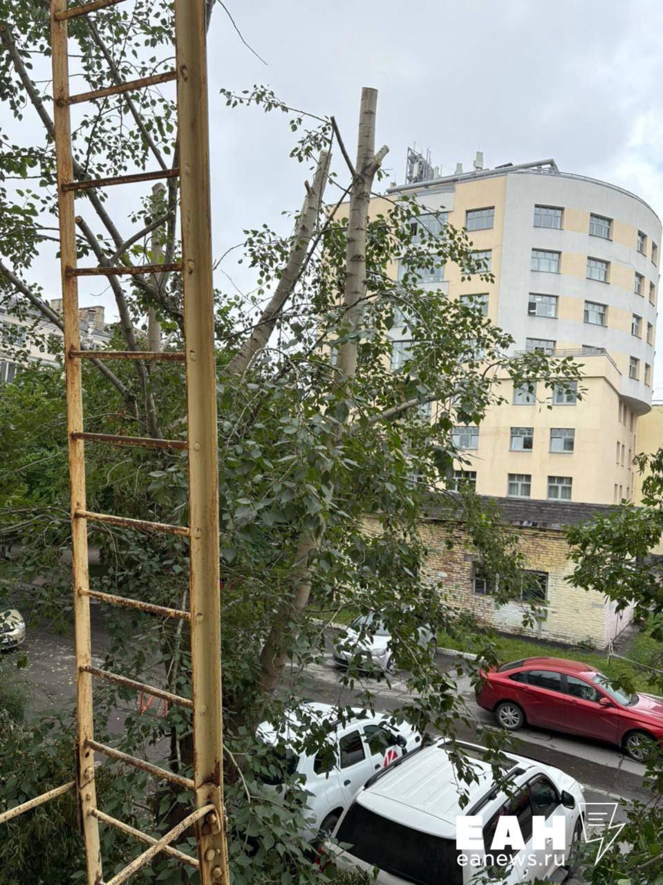 Все деревья «обкромсали» около дома на Ленина, 5 в Екатеринбурге Кронирование деревьев, возможно, и было плановым, но вот в планы жителей дома точно не входило – никто их о работах не предупредил. Прямо под деревьями стоят машины, которые могли повредить ветками. К тому же, оставшиеся листья и палки не вывезли, бросив прямо у дома. При этом жители сообщают, что в УК ссылаются на некую заявку на варварскую обрезку деревьев.