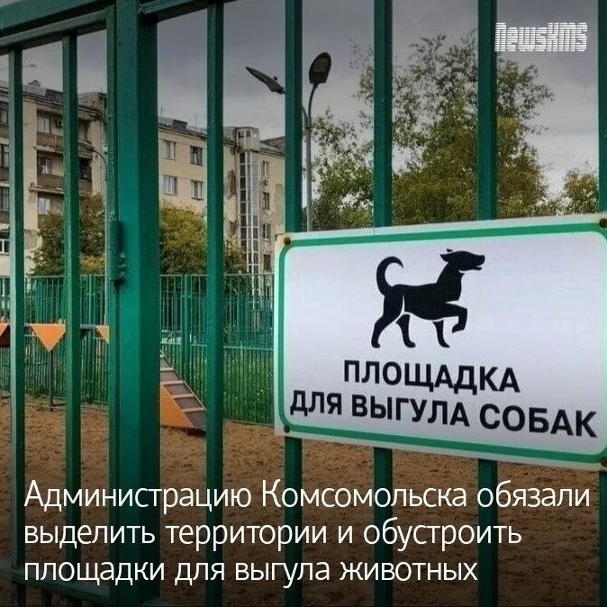 Прокуратура города провела проверку на предмет соблюдения норм законодательства в области охраны окружающей среды и санитарно эпидемиологической безопасности В результате было выявлено что в городе отсутствуют специально оборудованные места для выгула собак По итогам проверки прокуратура направила исковое заявление в суд который удовлетворил требования надзорного органа Администрации Комсомольска на Амуре поручено в течение шести месяцев со дня вступления судебного решения в силу определить участки для выгула животных Кроме того в течение следующего года и шести месяцев эти зоны должны быть полностью оборудованы для соответствующих нужд Решение суда уже вступило в законную силу а прокуратура города контролирует его исполнение Подписывайся на NewsKMS