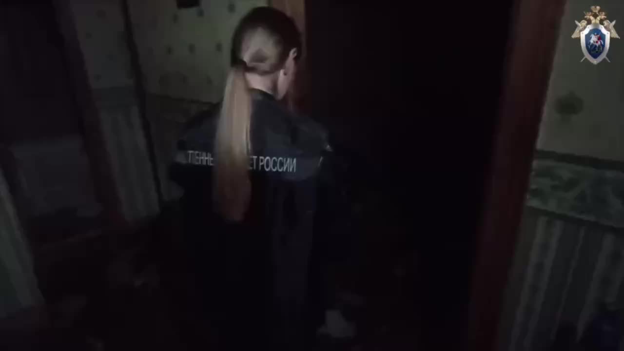 В Ульяновске и Саяногорске зарегистрированы случаи нападений с использованием оружия