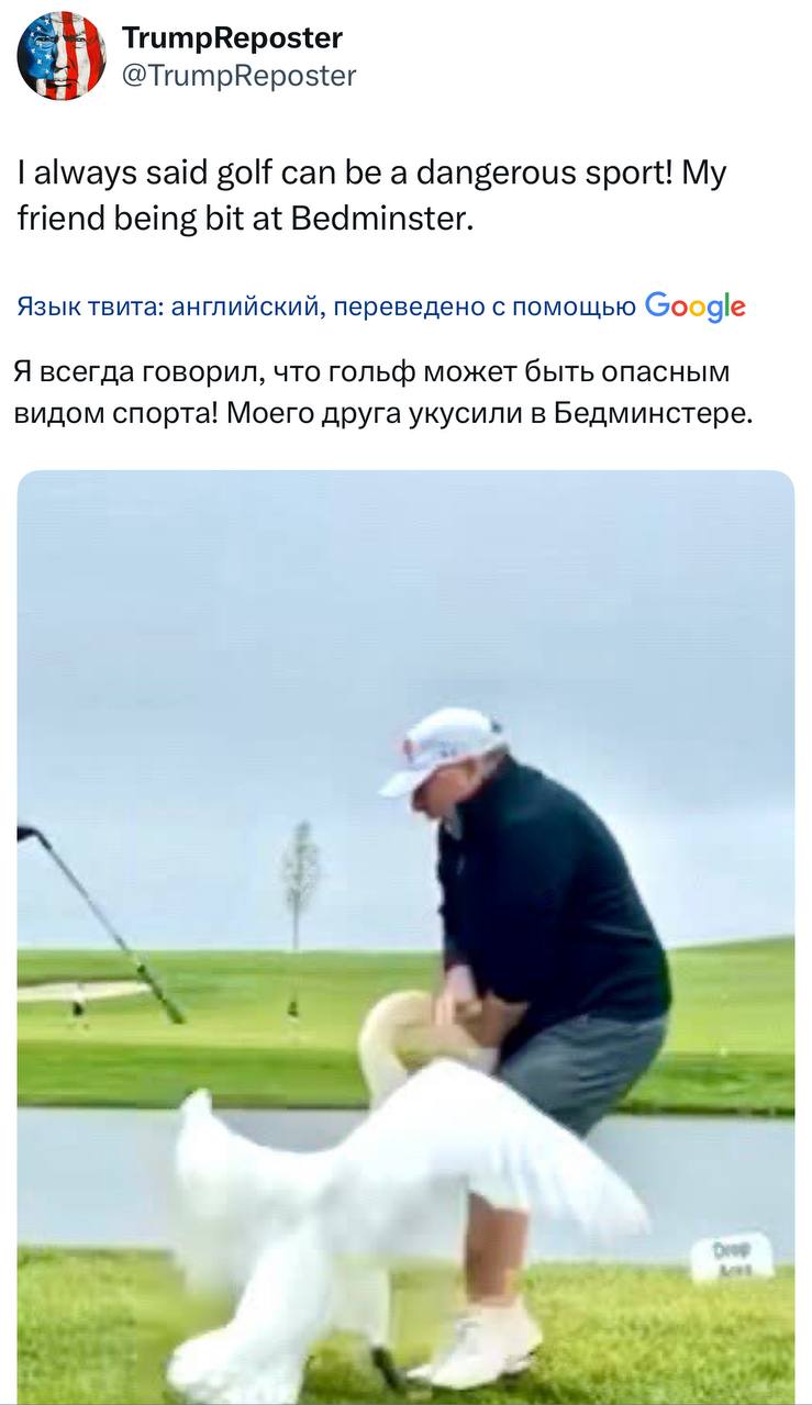 Президент США опубликовал фото, как лебедь напал на его друга в гольф-клубе Дональд Трамп поделился забавным моментом своих выходных в поместье в Нью-Джерси. Он опубликовал фотографию, на которой лебедь атакует одного из его гостей, сопроводив снимок подписью: «Я всегда говорил, что гольф может быть опасным видом спорта!» На фото видно, как птица кусает мужчину за весьма деликатное место. Трамп назвал пострадавшего «другом», а по силуэту и росту некоторые комментаторы предположили, что это может быть спецпосланник по Ближнему Востоку Стив Уиткофф. Прислать новость