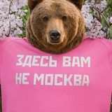 Аватар Телеграм канала: Подмосква