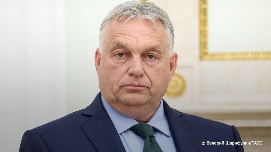 Орбан указал Зеленскому, что ему не следует рассчитывать на прием Украины в Евросоюз, поскольку после этого сообщество сразу же будет втянуто в прямой конфликт с Россией. #Россия #Z #Зеленский #украина #победаzaнами #BarguZin24 БаргуZин Vk YouTube TikTok X