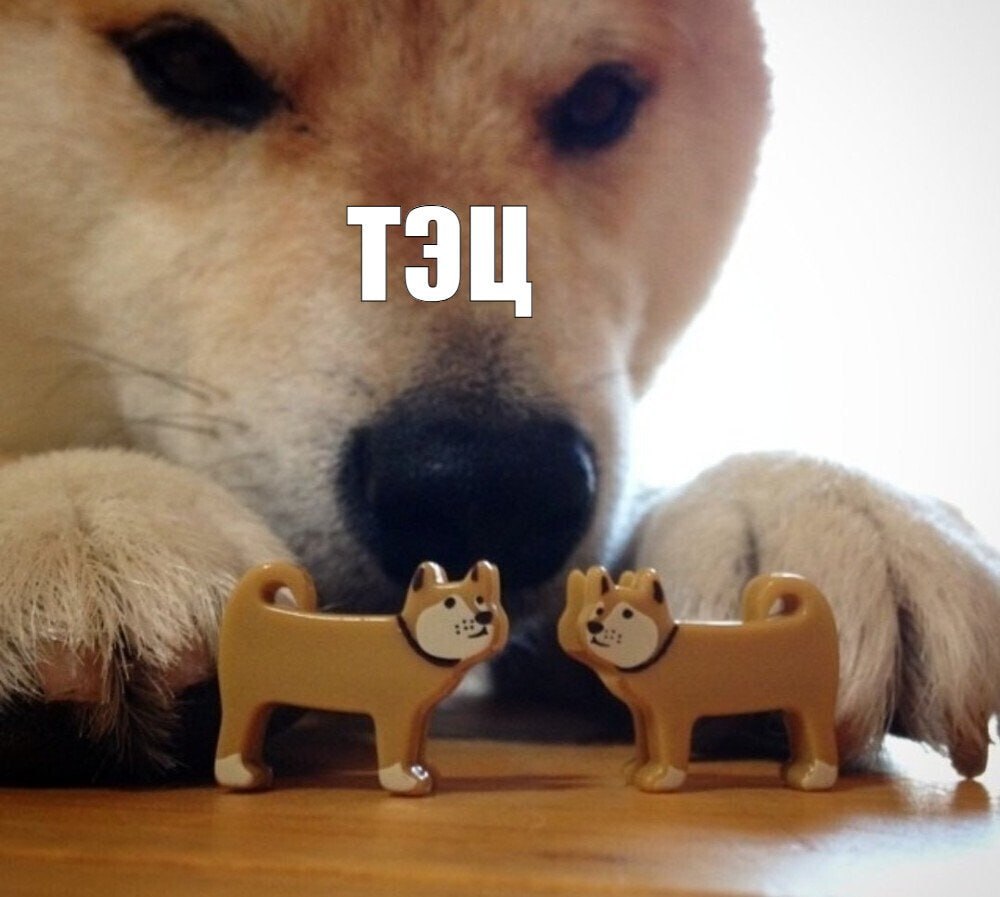 Кабмин заявил что ТЭЦ планируют перевести на газ в течение 1 2 лет Процесс говорят небыстрый но работа идёт Сейчас создают условия продолжают модернизацию и ведут переговоры с Газпромом При этом планы кабмина и мэрии на балансе которой сейчас ТЭЦ разошлись Буквально на прошлой неделе мэр Бишкека Айбек Джунушалиев говорил что таких планов нет потому что переход на газ это дорого и приведёт к росту тарифов СЕЙЧАС KG I   Прислать новость