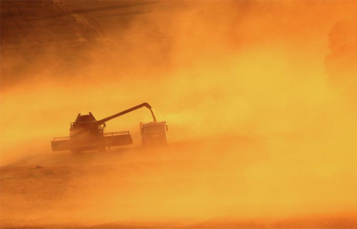 Москва. 20 июня. INTERFAX.RU - Прогноз по сбору зерна в РФ в 2025 году в 135 млн тонн из-за засухи в ряде регионов изменен не будет, заявил журналистам вице-премьер Дмитрий Патрушев в кулуарах ПМЭФ."Мы не меняем прогноз, который был изначально сформирован - 135 млн тонн планируется собрать", - заявил он, отвечая на соответствующий вопрос."У нас идет уборка, спокойно будем убирать", - добавил вице-премьер.Как сообщалось, в ряде южных регионов РФ, которые являются крупными производителями зерна, в этом году из-за засушливой погоды по некоторым районам объявлен режим ЧС.По прогнозу Минсельхоза, сбор пшеницы в общем урожае зерна в этом году может составить 90 млн тонн.В 2024 году РФ собрала 125,9 млн тонн зерна, в том числе 82,6 млн тонн пшеницы.