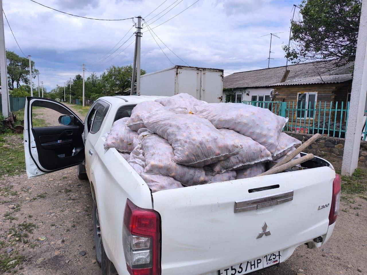 Житель Приморья подарил машину яблок медвежатам-сиротам, которых привезли из Якутии в приморский центр реабилитации тигров и других редких животных центр "Тигр" , сообщило учреждение. На кадрах ролика видно, как медвежата играют с подаренным угощением.